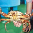 창의역사교실 1 이미지