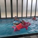 제주프랜 이미지