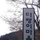 남해장어 이미지