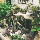 봉평농장 이미지