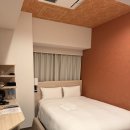 코코네cocone | 우에노 호텔 Tosei Hotel Cocone Ueno okachimachi 토세이 호텔 코코네 우에노 오카치마치 더블룸 후기