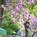 문*수 - 안양시 만안구 | 문*수