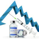 소문난개미 이미지