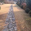 돌고래 펜션 | 단체펜션)아이 친구 엄마들과 다녀온 청도강변돌고래 펜션 후기!