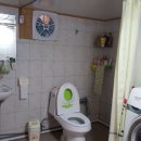 표선리-20 이미지