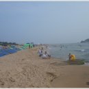 황소 민박 이미지