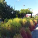 오일시장(축협하나로마트) 이미지