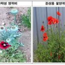 부안군보건소 이미지