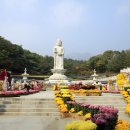 달과 함께 걷다 이미지