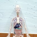 서현기린한의원 이미지