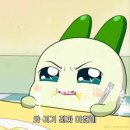 삼육당 네이버블로그