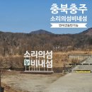 갈대이야기 | 충주 비내섬 여행 후기, 갈대밭 감성 산책 코스, 조용한 힐링여행지 추천