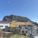 스타벅스성산일출봉점 | 스타벅스 제주 한정 메뉴 추천! 성산일출봉점 방문 후기