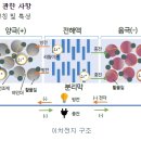 비엠 이미지
