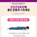 관골 이미지