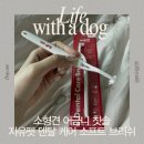 펫엣지 | 강아지 소형견 칫솔 추천 & 내돈내산 솔직후기 [자유펫 덴탈 케어 소프트브러쉬]