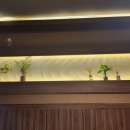 월드케어 이미지