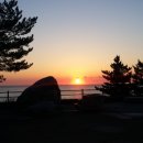 일출체육관 이미지