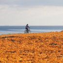 목장풍경민박 이미지