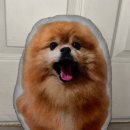 드림스타PC방 | 쳐먹기만 하는 2월