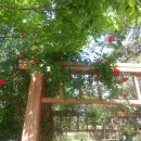 농심작은도서관 이미지