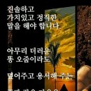 약산온천입구교차로 | 대구서부지원 경매1계 2024 타경 31062 [임야]