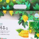 포헬스100