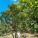 정금농장 이미지