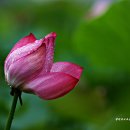 북상주IC주유소 이미지