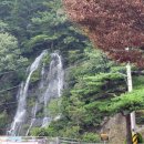 더황칠삼계탕