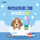마이포스
