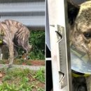 성남 공영주차장 이미지