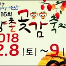 곶감가요제-곶감먹으며 양촌곶감 겨울축제 즐겼습니다