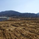 인리소류지 이미지