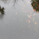 삼산이수 이미지