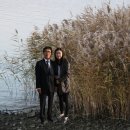 장수(익산) Daum카페