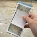 질러 | 나트랑김청환전소 담시장 기프트샵 엘스토어 슈렉샵 옷 질러팬티 커피 기념품 쇼핑 후기