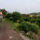 장호중학교 이미지