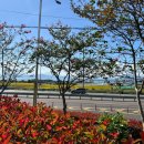 남양 만남의광장 이미지