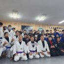 팀타이런트 유도 이미지