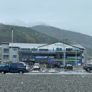 피터펫카페 가덕도점 이미지