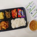 도지초병설 이미지