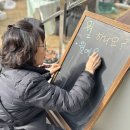 친환경나눔텃밭 | 식물과 함께한 초록빛 토요일! 3월 정기 순환장 후기