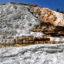 맘모스타워 이미지