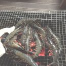 모곡낚시터 | 홍천강펜션 모곡 개야리 하늘맑은집 후기