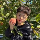 삼성프라임어린이집