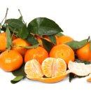 1급대광모터스 이미지