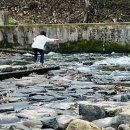 명가닭오리전문 이미지