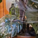 바다속으로 호스텔 | 스페인 여행 2일차 -가우디 투어 까사밀라,구엘공원,까사 바뜨요, 사그라다 파밀리아 성당(외부...