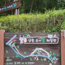 양촌 유아숲체험원 이미지